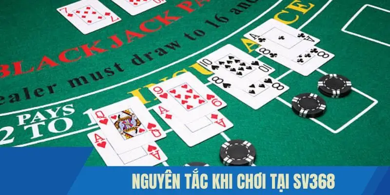 Nguyên tắc khi chơi tại Sv368